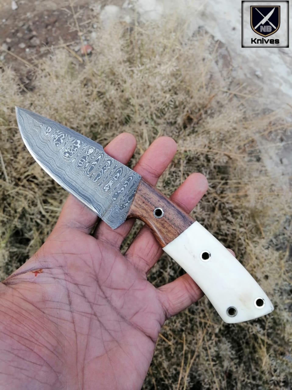 CUSTOM HANDMADE DAMASCUS HUNTING KNIFE Rosewood and Camel Bone ,Brass Pins