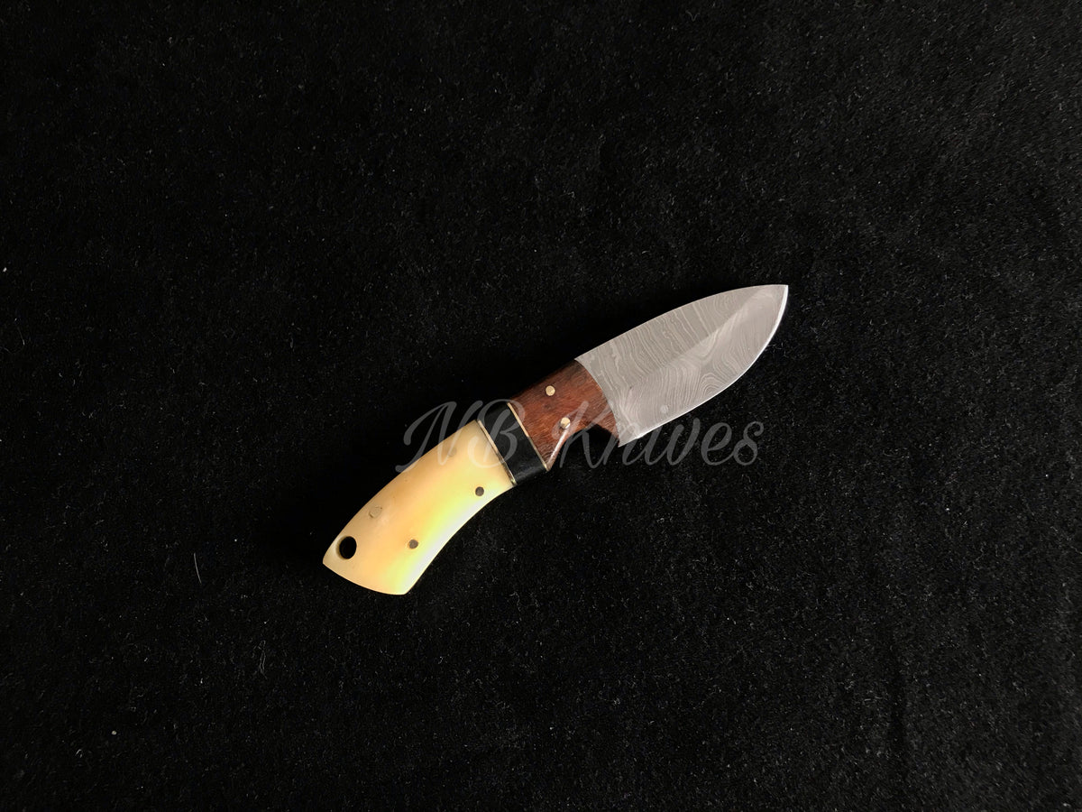 Handcrafted Damascus Skinner Knife with Camel Bone & Rosewood Handle