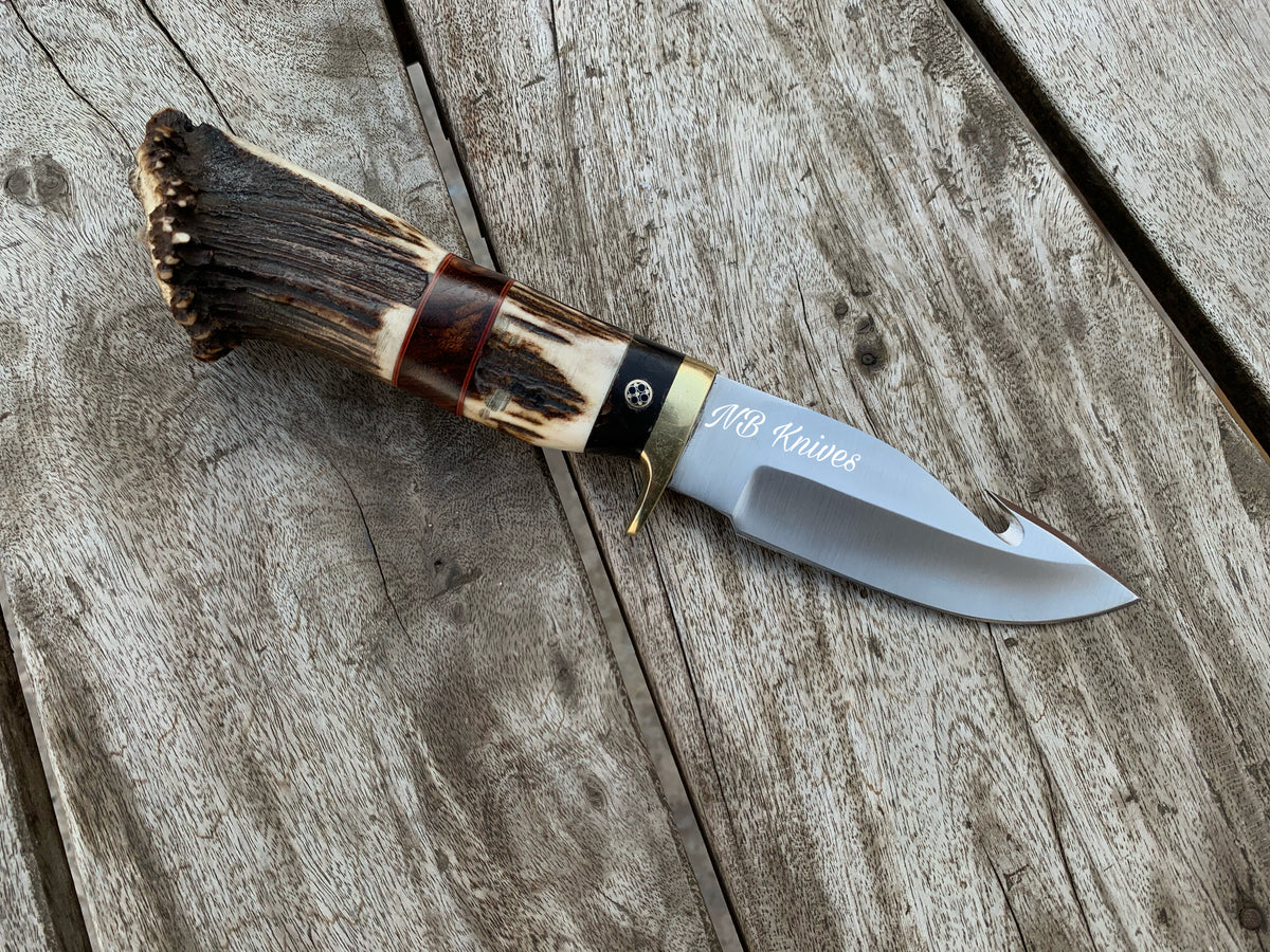 D2 Steel Gut Hook Knife with Stag Horn & Pakkawood Handle
