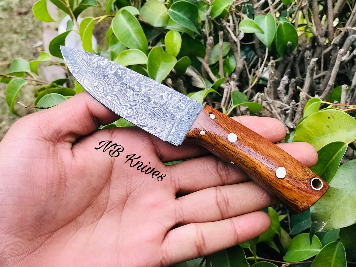 Skinner Knife in Damascus Steel with Rosewood Handle and Leather Sheath
