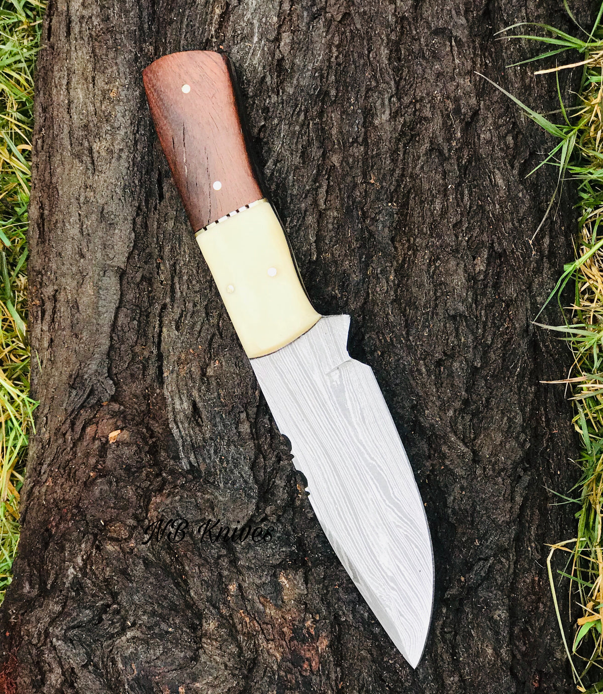 Camel Bone and Rosewood Handle Damascus Skinner Knife