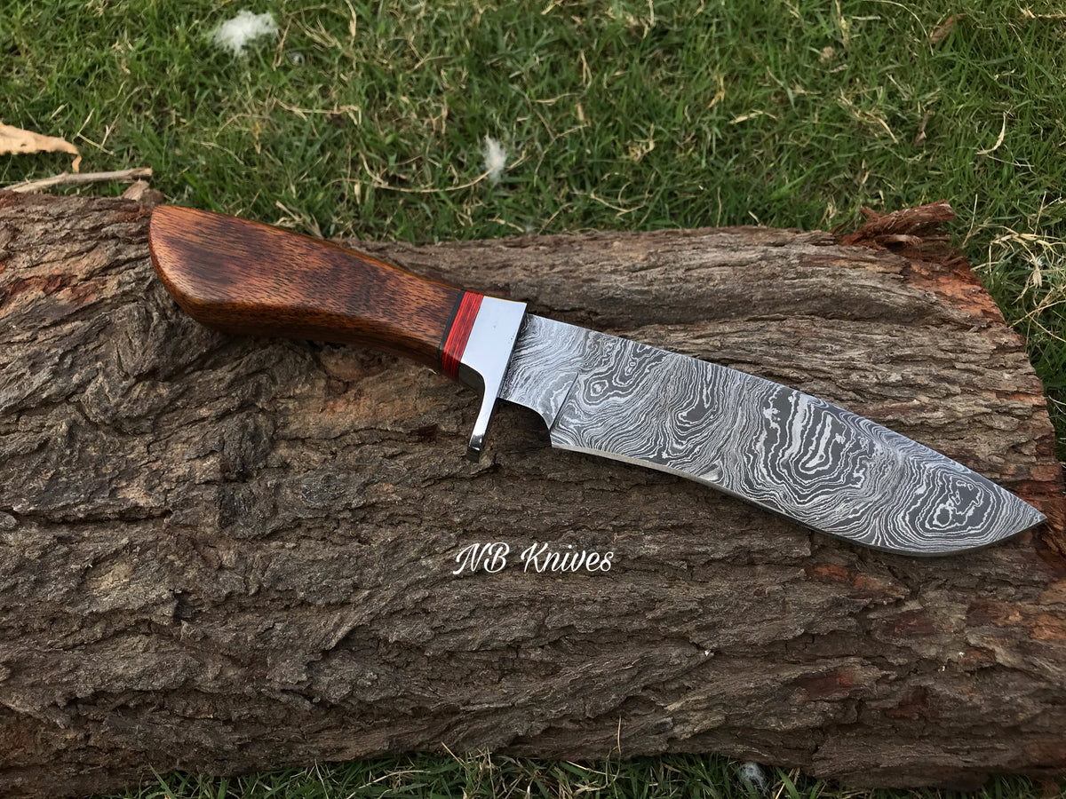 Rosewood Handle Damascus Hunting Knife with Brass Bolster & Leather Sheath