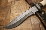 Beautiful Custom Handmade Damascus Steel Bowie knife" Camel Bone & Wood Handle