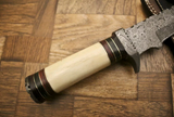 Beautiful Custom Handmade Damascus Steel Bowie knife" Camel Bone & Wood Handle