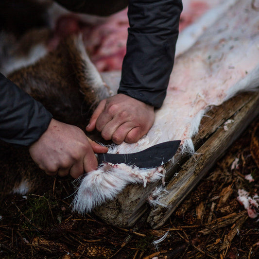 Best Hunting Knife for Deer Hunting
