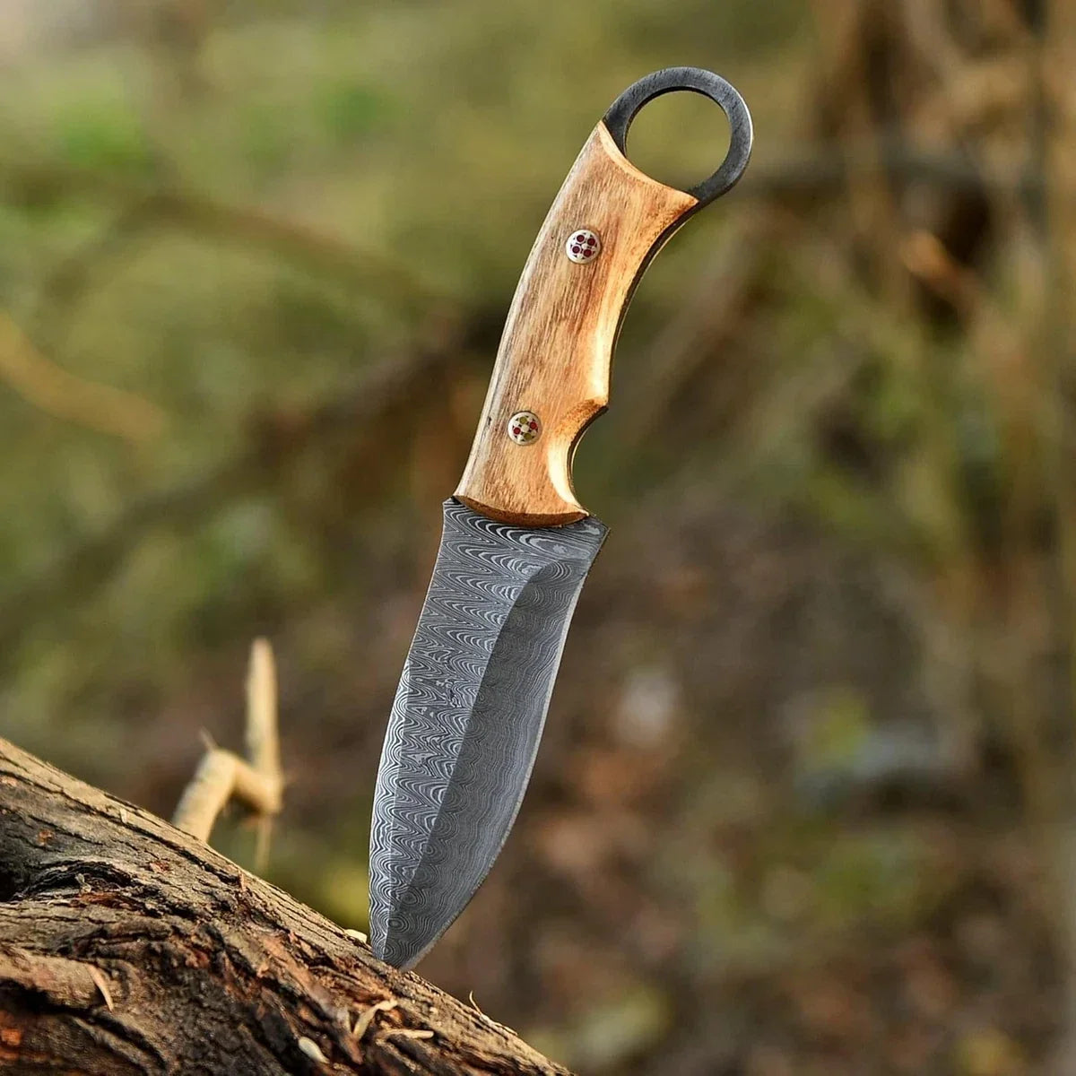 Knife with a wooden handle on a tree branch against a blurred natural background