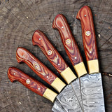 Custom Handmade Damascus Steel 5 Pcs Chef Set Handle Hardwood With Leather Kit