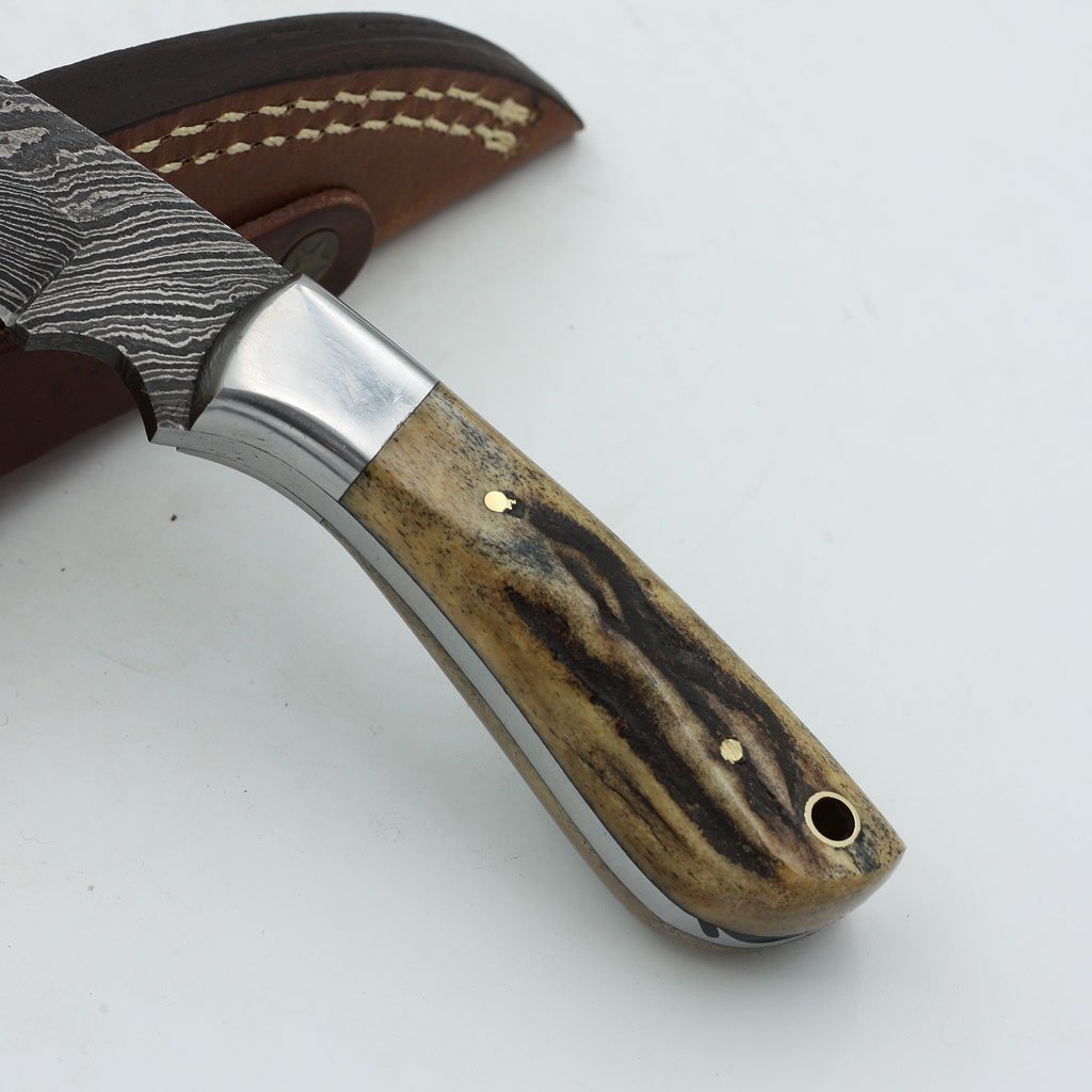 Custom handmade damascus steel 6 inches knife Handle: Stag Horn, Stainless Steel Bolster - NB CUTLERY LTD