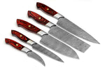 DAMASCUS CHEF/KITCHEN KNIFE CUSTOM MADE BLADE 5 Pcs. Set - NB CUTLERY LTD