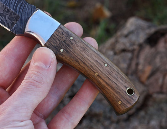 Damascus hunting knife Handle Walnut Wood. Stainless Steel Bolster - NB CUTLERY LTD