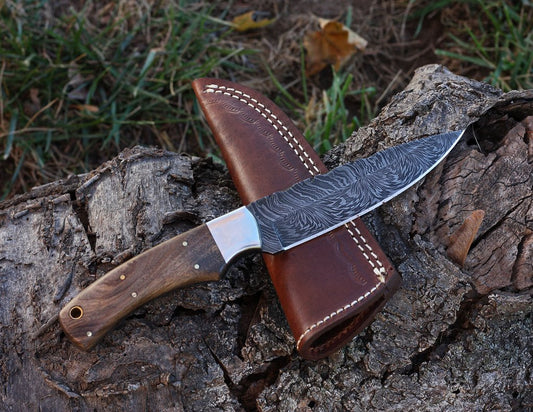Damascus hunting knife Handle Walnut Wood. Stainless Steel Bolster - NB CUTLERY LTD