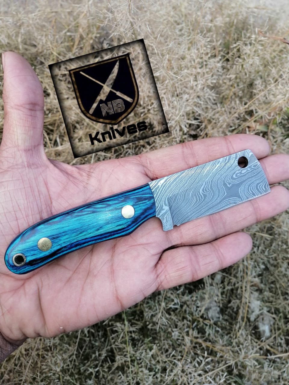 CUSTOM HANDMADE DAMASCUS HUNTING KNIFE HANDLE Dollar Sheath ,Brass Pins