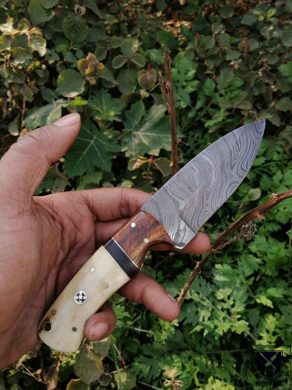 CUSTOM HANDMADE DAMASCUS HUNTING KNIFE HANDLE Camel Bone Rosewood and Micarta ,Brass Pins