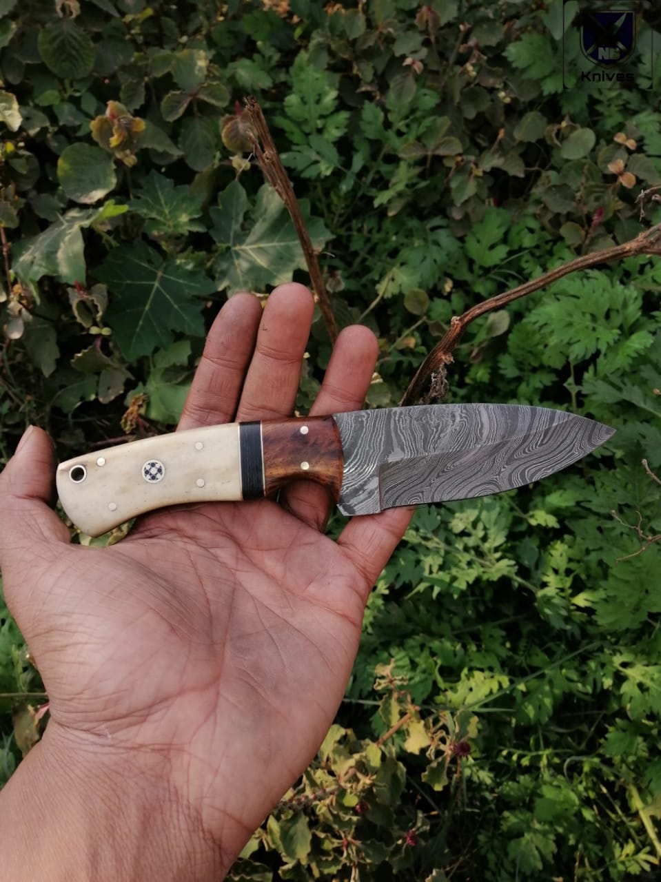 CUSTOM HANDMADE DAMASCUS HUNTING KNIFE HANDLE Camel Bone Rosewood and Micarta ,Brass Pins
