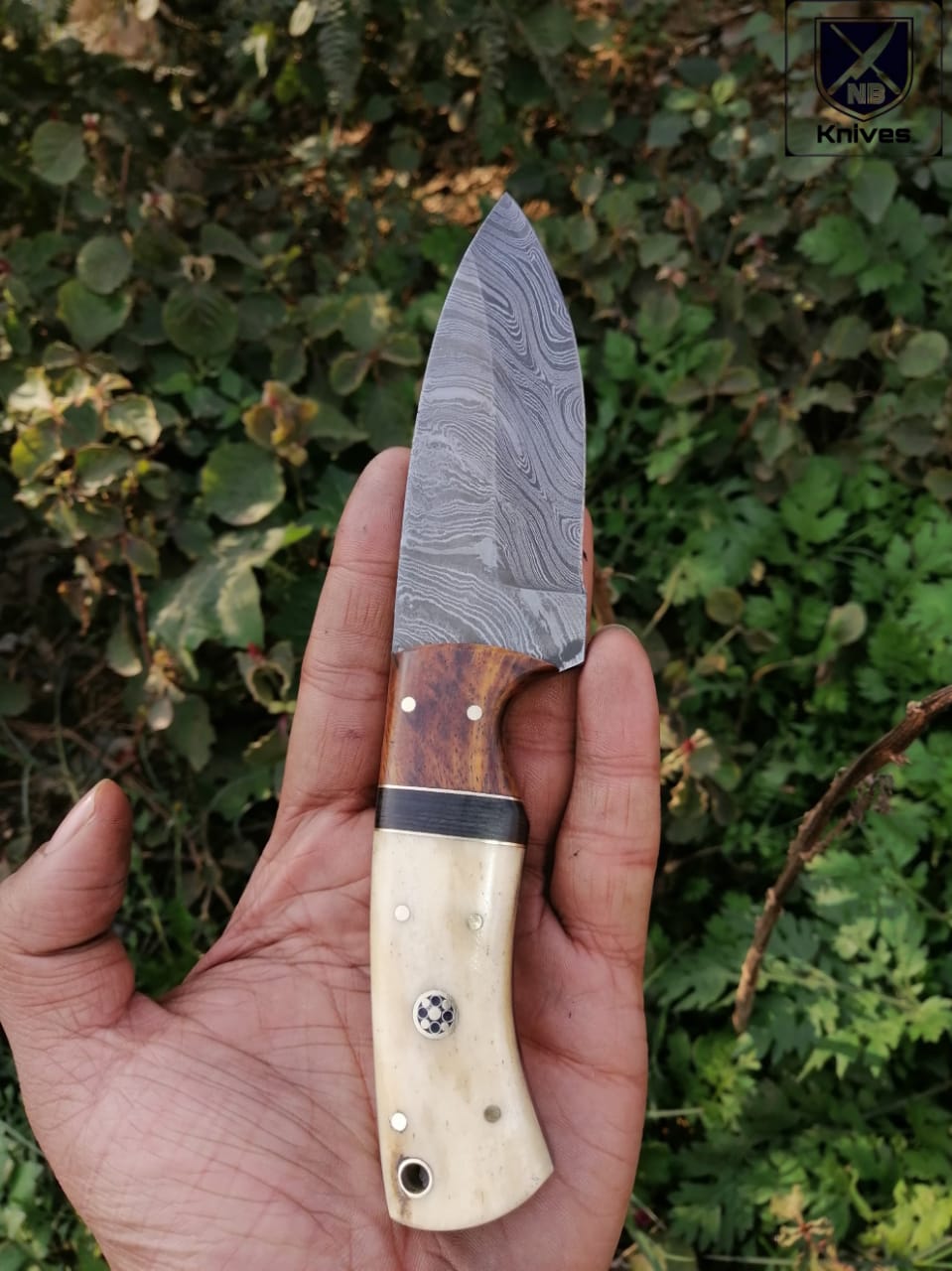 CUSTOM HANDMADE DAMASCUS HUNTING KNIFE HANDLE Camel Bone Rosewood and Micarta ,Brass Pins
