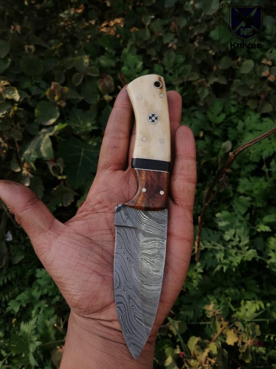 CUSTOM HANDMADE DAMASCUS HUNTING KNIFE HANDLE Camel Bone Rosewood and Micarta ,Brass Pins
