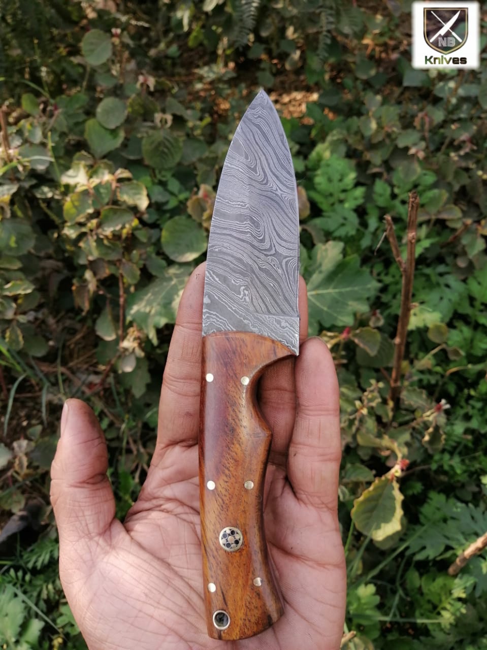 CUSTOM HANDMADE DAMASCUS HUNTING KNIFE HANDLE Rosewood ,Brass Pins