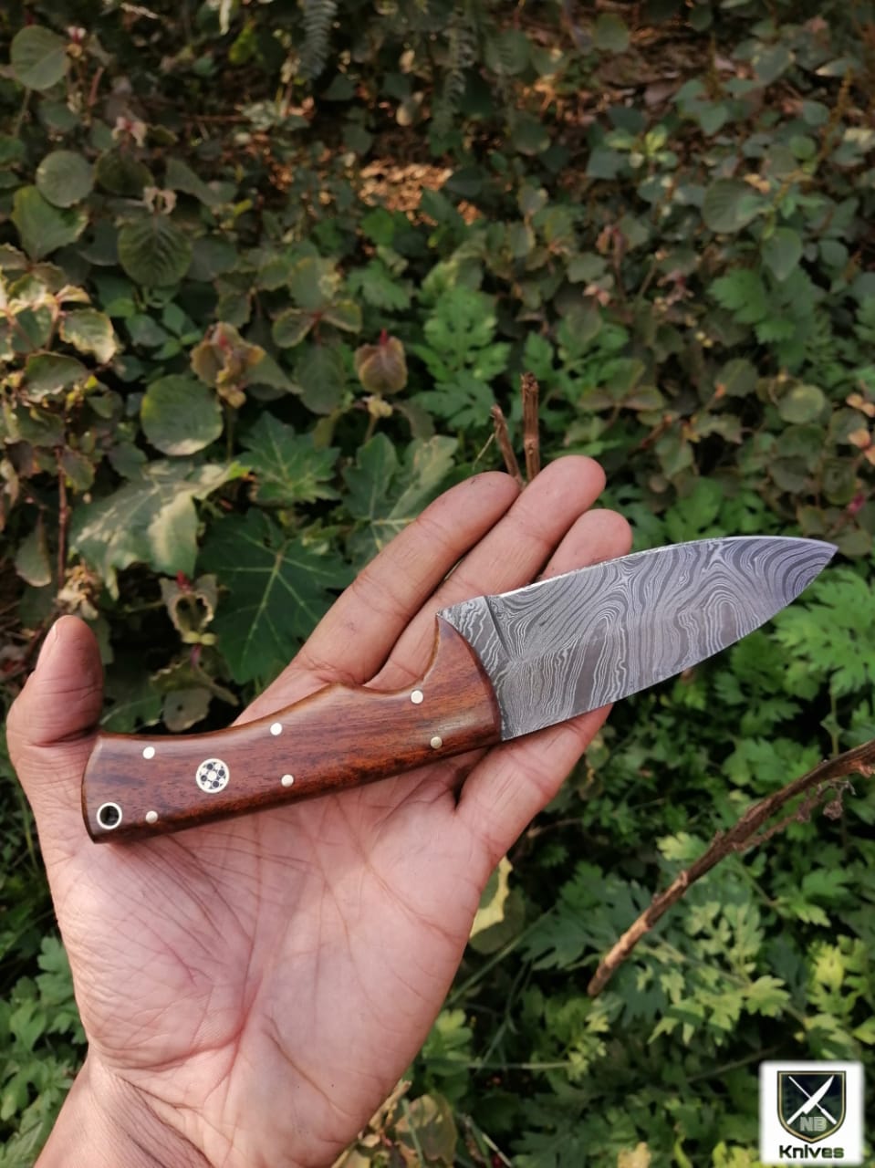 CUSTOM HANDMADE DAMASCUS HUNTING KNIFE HANDLE Rosewood ,Brass Pins
