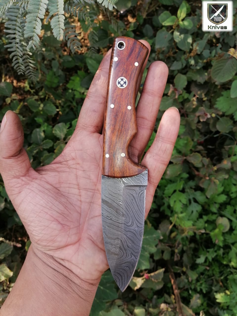 CUSTOM HANDMADE DAMASCUS HUNTING KNIFE HANDLE Rosewood ,Brass Pins