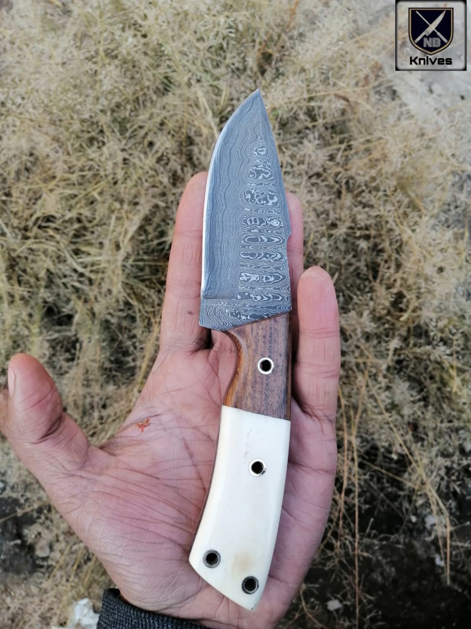 CUSTOM HANDMADE DAMASCUS HUNTING KNIFE Rosewood and Camel Bone ,Brass Pins