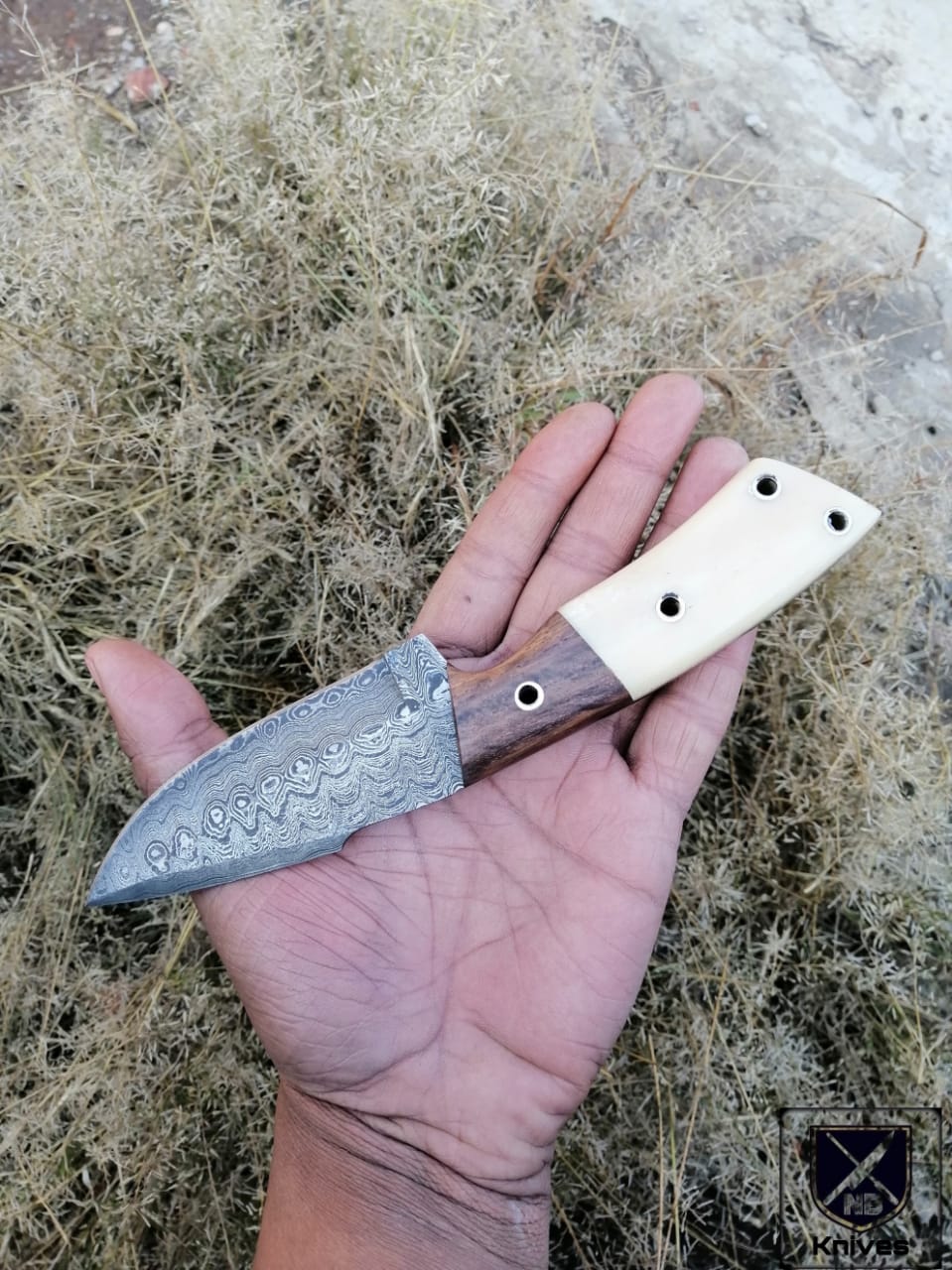 CUSTOM HANDMADE DAMASCUS HUNTING KNIFE Rosewood and Camel Bone ,Brass Pins