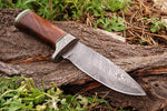 CUSTOM HANDMADE DAMASCUS STEEL HUNTING KNIFE WITH ROOS WOOD HANDLE