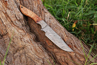 BEAUTIFUL DAMASCUS STEEL KNIFE HANDLE WALNUTWOOD - NB CUTLERY LTD
