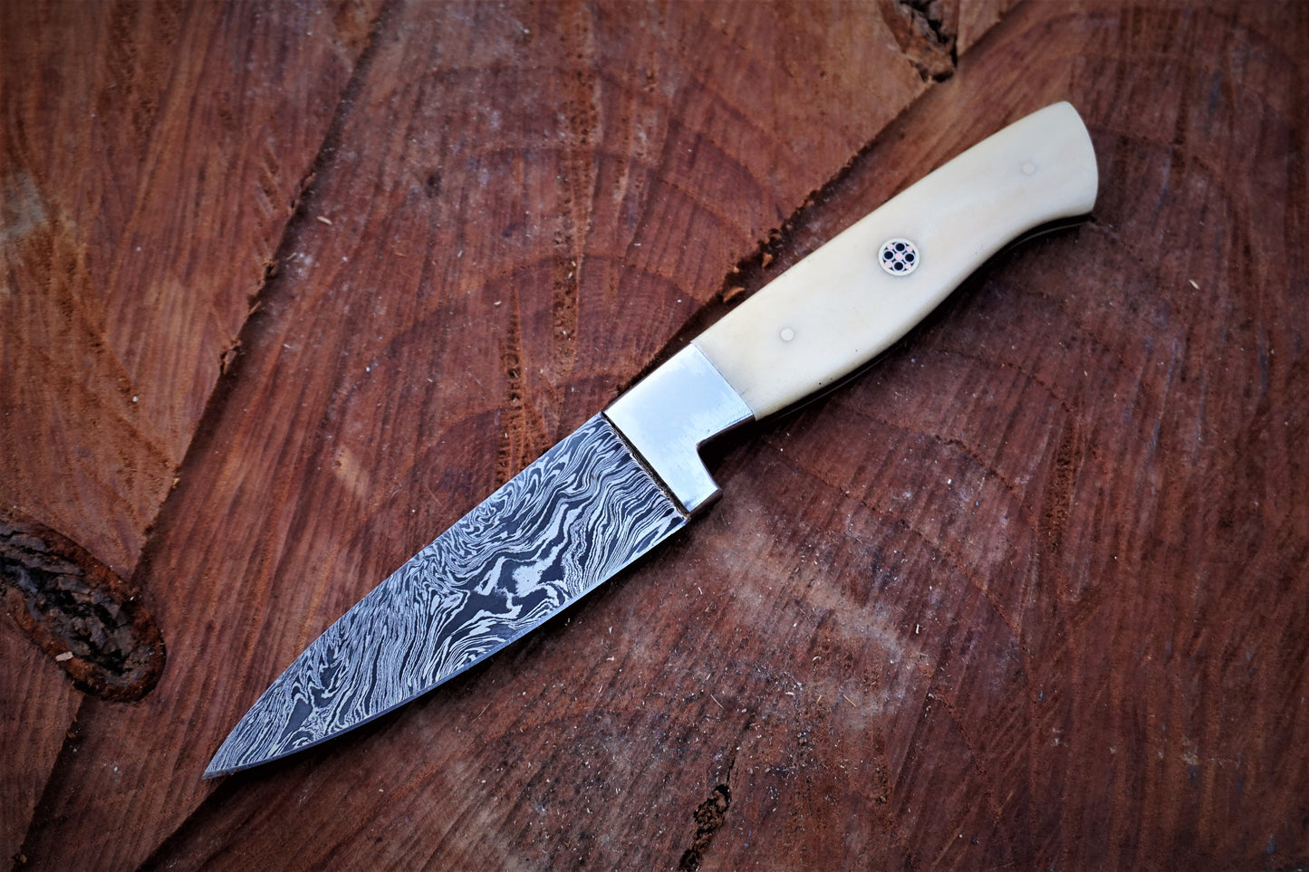 Custome Handmade Damascus 4 Pcs Chef Set Handle Camel Bone With Leather Roll Kit - NB CUTLERY LTD