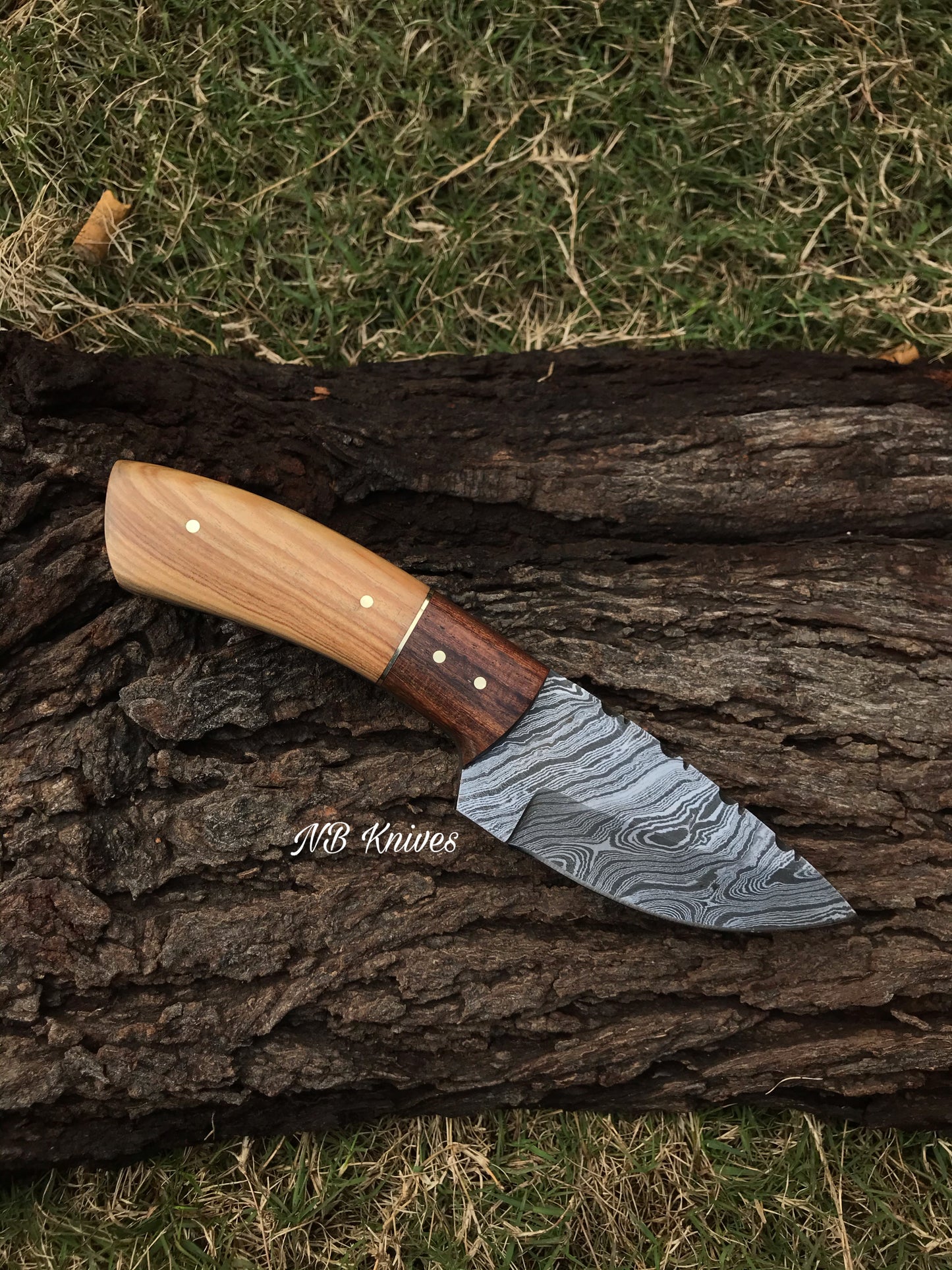 |NB KNIVES| CUSTOM HAND FORGED DAMASCUS STEEL HUNTING KNIFE "OLIVE WOOD"