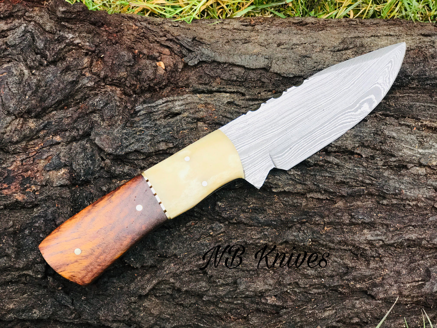 |NB Knives| CUSTOM HANDMADE DAMASCUS HUNTING KNIFE HANDLE Camel Bone And Rosewood
