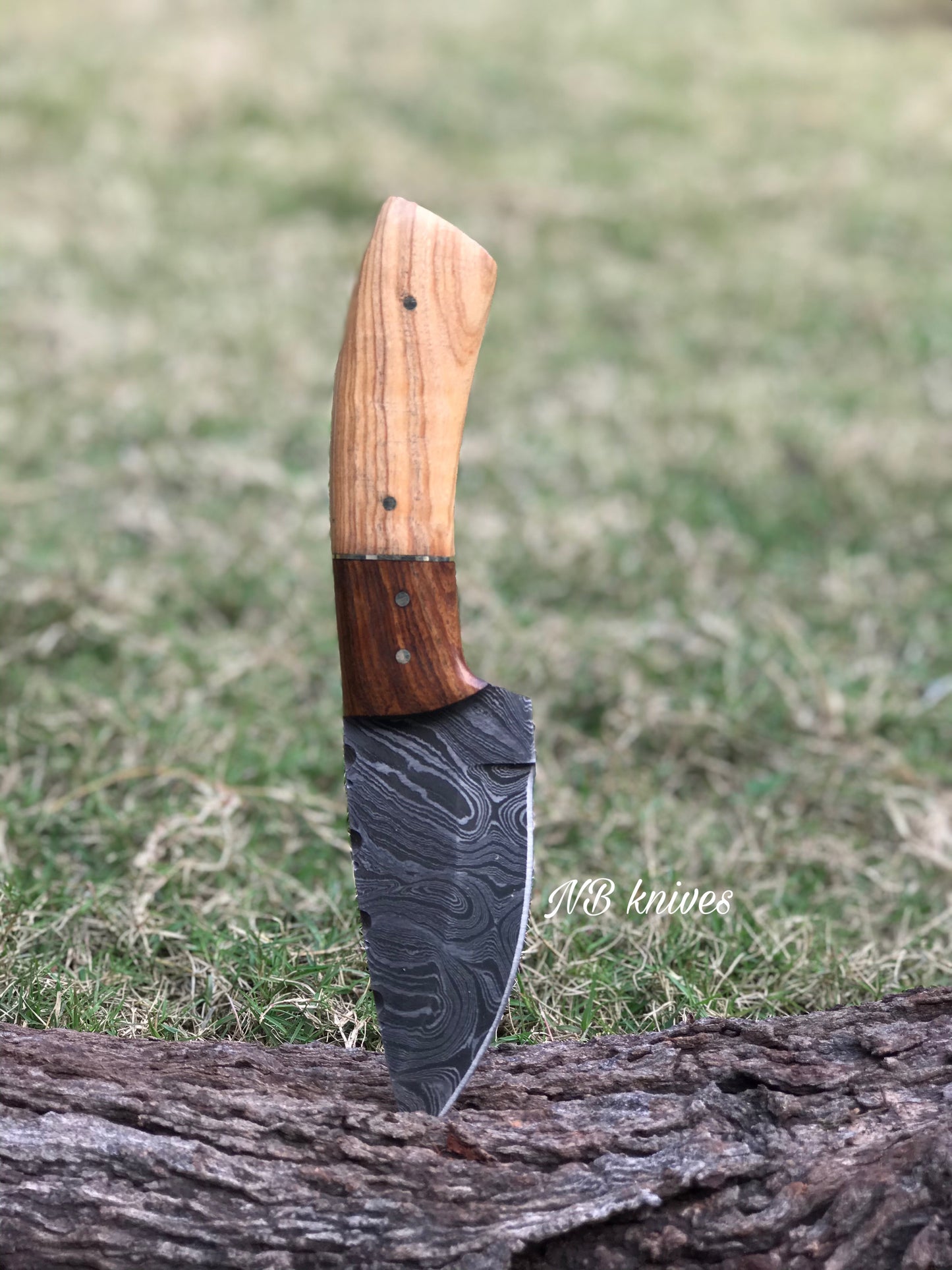 |NB KNIVES| CUSTOM HAND FORGED DAMASCUS STEEL HUNTING KNIFE "OLIVE WOOD"