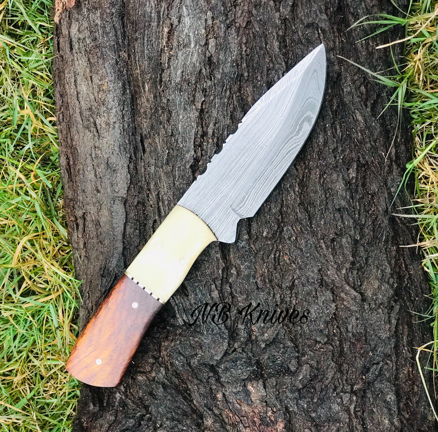 |NB Knives| CUSTOM HANDMADE DAMASCUS HUNTING KNIFE HANDLE Camel Bone And Rosewood