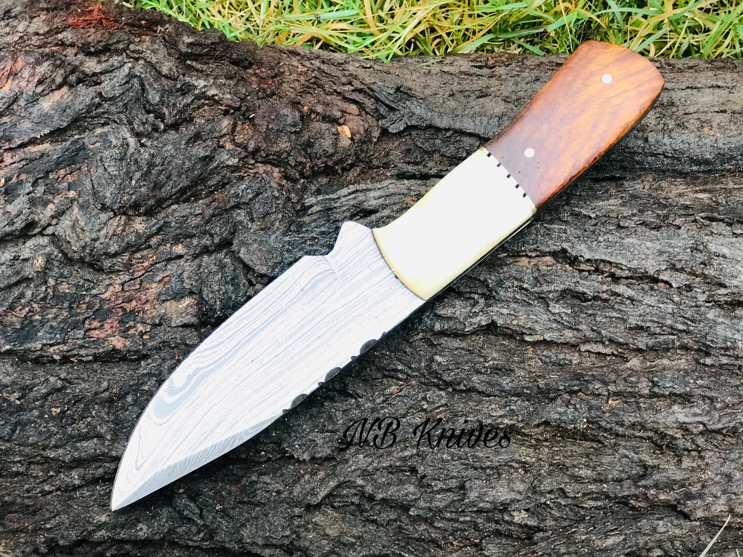 |NB Knives| CUSTOM HANDMADE DAMASCUS HUNTING KNIFE HANDLE Camel Bone And Rosewood