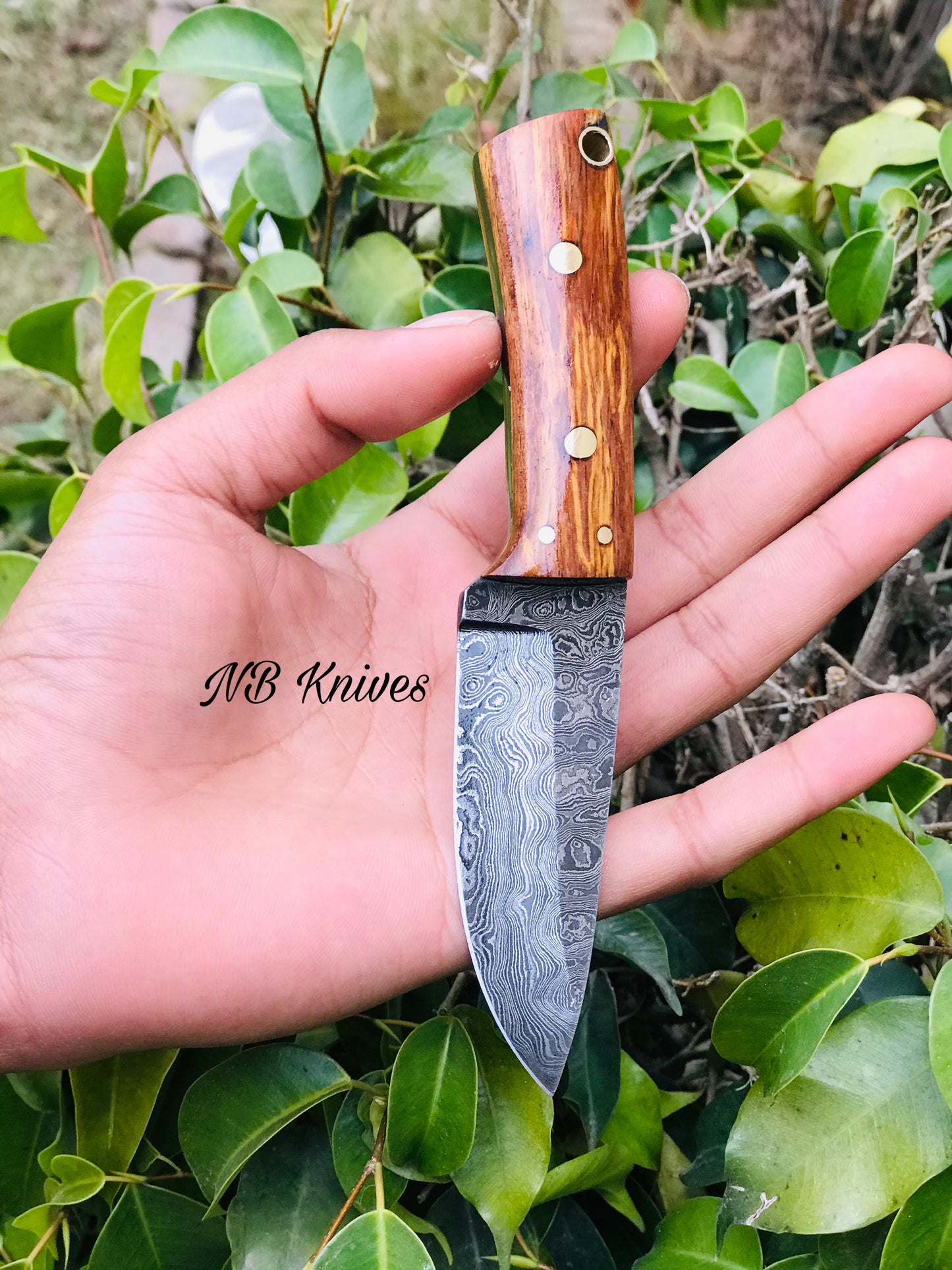 |NB KNIVES| CUSTOM HANDMADE DAMASCUS HUNTING KNIFE HANDLE ROSEWOOD