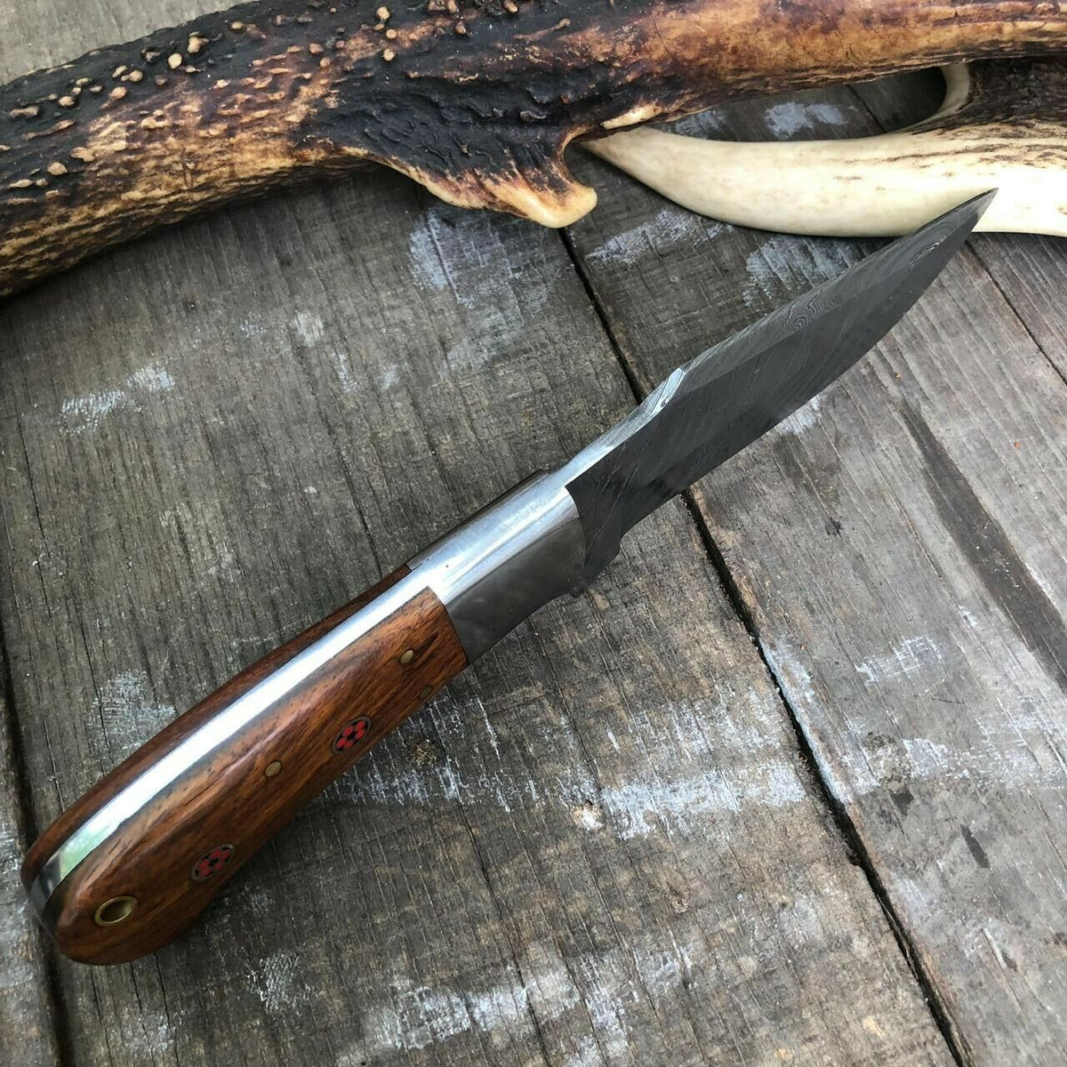 Rosewood Handle Skinner Knife – Hand-Forged Damascus with Steel Guard