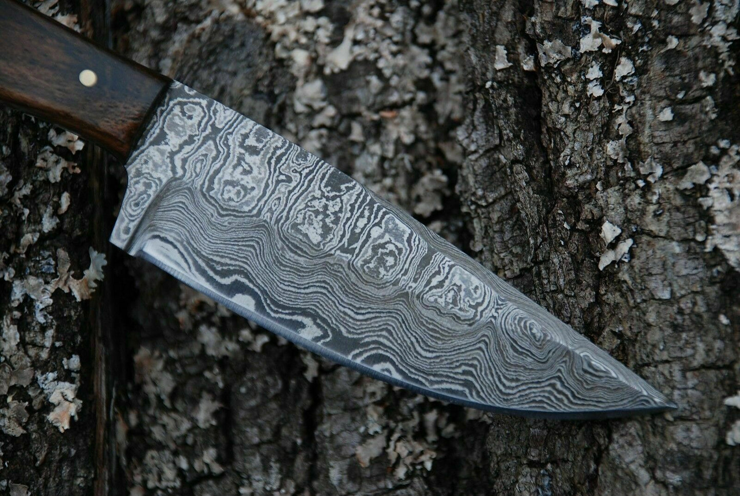 CUSTOM HANDMADE DAMASCUS HUNTING KNIFE Handle Genuine Camel Bone & Walnut Wood