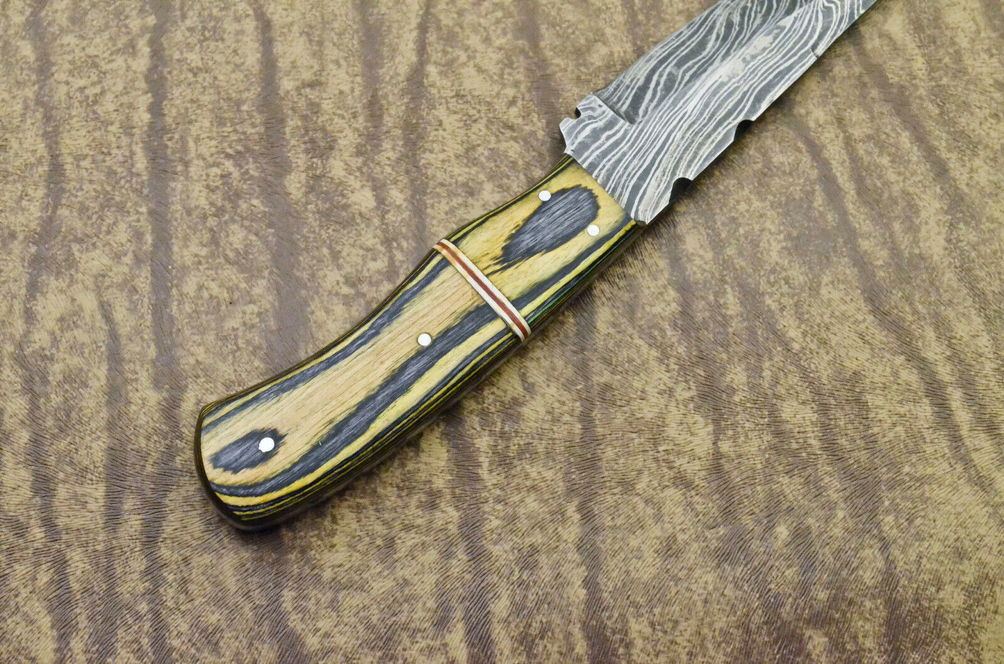CUSTOM HANDMADE DAMASCUS STEEL hunting KNIFE handle dollar sheet