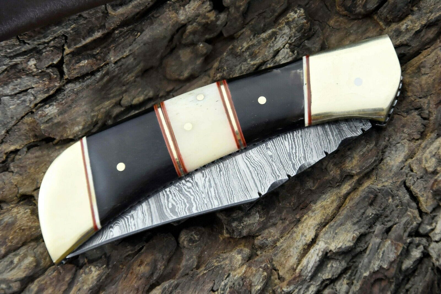 Damascus Steel Pocket Knife Featuring Camel Bone & Black Horn Handle