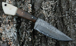 CUSTOM HANDMADE DAMASCUS HUNTING KNIFE Handle Genuine Camel Bone & Walnut Wood