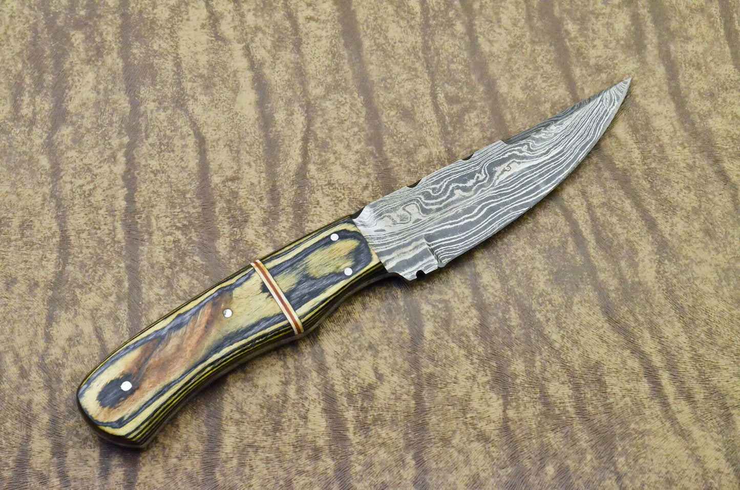 CUSTOM HANDMADE DAMASCUS STEEL hunting KNIFE handle dollar sheet