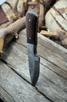 Custom Made Hand Forged Damascus Hunting knife Handle Material WALNUT WOOD